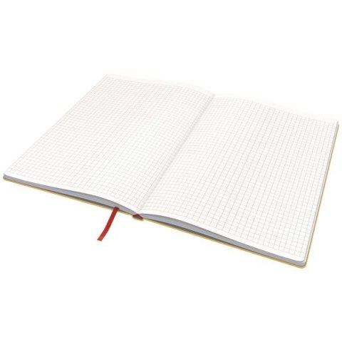 Notes (notatnik) Cosy B5 krata Leitz (44820019)