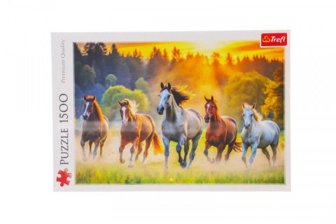 Puzzle Dzikie konie 1500 el. Trefl (26215)
