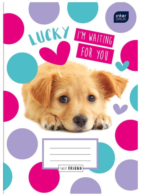 Zeszyt Fashion/sweety A5 16k. krata Interdruk (ZE16#401A)