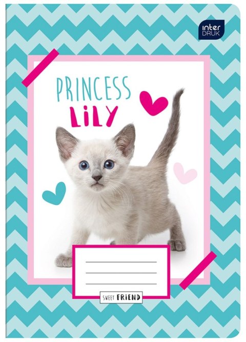 Zeszyt Fashion/sweety A5 16k. krata Interdruk (ZE16#401A)