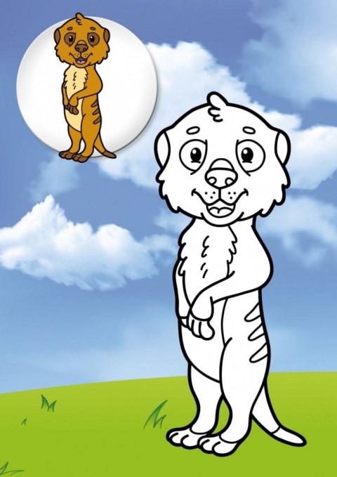 Kolorowanka Dzikie Zwierzęta