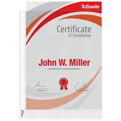 Koszulki na dokumenty A4+ kolor: przezroczysty typu U 100 mic. Esselte (259760)