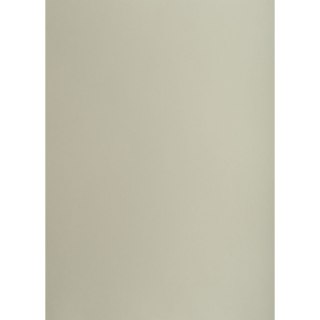 Brystol SZARY B2 SZARY 225g 25k Creatinio (400150323)