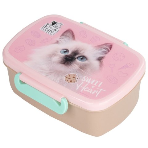 Śniadaniówka Derform (SACF45)