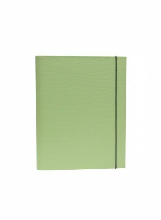 Teczka kartonowa na gumkę PasteLove z gumką B4 limonka VauPe (P/310/31)