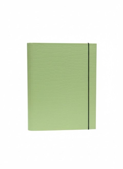 Teczka kartonowa na gumkę PasteLove z gumką B4 limonka VauPe (P/310/31)